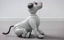 索尼aibo机器狗在新的重大更新中获得了异想天开的功能