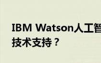 IBM Watson人工智能如何衡量成千上万的技术支持？