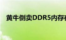 黄牛倒卖DDR5内存在易贝高达2500美元