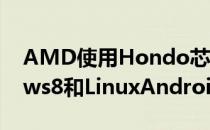 AMD使用Hondo芯片的平板将支持Windows8和LinuxAndroid 不在计划中