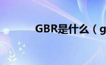 GBR是什么（gbr是什么文件）