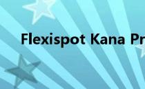 Flexispot Kana Pro竹立式办公桌评估