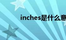 inches是什么意思啊（inches）