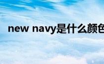 new navy是什么颜色（navy是什么颜色）