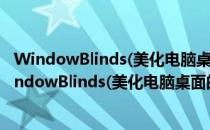 WindowBlinds(美化电脑桌面的软件) V10.80 免费版（WindowBlinds(美化电脑桌面的软件) V10.80 免费版怎么用）
