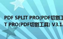 PDF SPLIT PRO(PDF切割工具) V3.1.1 官方版（PDF SPLIT PRO(PDF切割工具) V3.1.1 官方版怎么用）