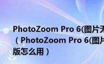 PhotoZoom Pro 6(图片无损放大工具) V6.0.8 官方正式版（PhotoZoom Pro 6(图片无损放大工具) V6.0.8 官方正式版怎么用）