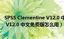 SPSS Clementine V12.0 中文免费版（SPSS Clementine V12.0 中文免费版怎么用）