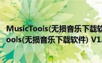 MusicTools(无损音乐下载软件) V1.8.9.3 免费版（MusicTools(无损音乐下载软件) V1.8.9.3 免费版怎么用）