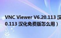 VNC Viewer V6.20.113 汉化免费版（VNC Viewer V6.20.113 汉化免费版怎么用）