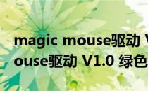 magic mouse驱动 V1.0 绿色版（magic mouse驱动 V1.0 绿色版怎么用）