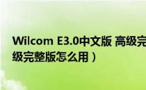 Wilcom E3.0中文版 高级完整版（Wilcom E3.0中文版 高级完整版怎么用）