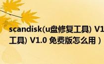 scandisk(u盘修复工具) V1.0 免费版（scandisk(u盘修复工具) V1.0 免费版怎么用）