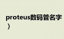 proteus数码管名字（proteus数码管怎么找）