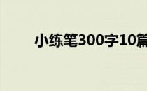 小练笔300字10篇（小练笔300字）