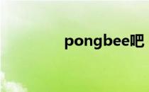 pongbee吧（pongbee）