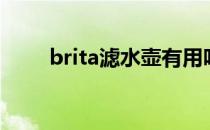 brita滤水壶有用吗（brita滤水壶）
