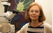 剑桥大学科学家克里斯汀霍尔特教授荣获世界顶级神经科学奖