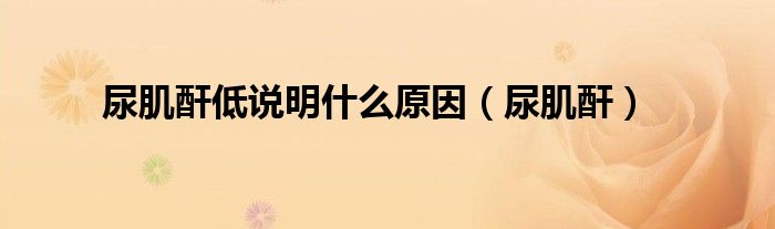 柔和的肌酐低说明什么原因的图片
