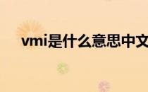 vmi是什么意思中文（vmi是什么意思）