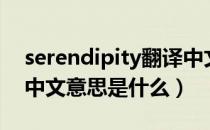serendipity翻译中文意思（serendipity的中文意思是什么）