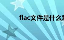 flac文件是什么意思（flac文件）