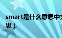 smart是什么意思中文翻译（smart是什么意思）