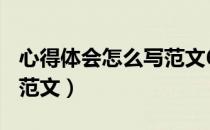 心得体会怎么写范文600字（心得体会怎么写范文）
