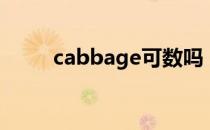 cabbage可数吗（cabbage可数）