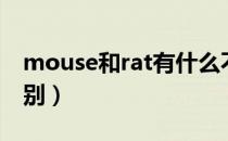 mouse和rat有什么不同（mouse和rat的区别）