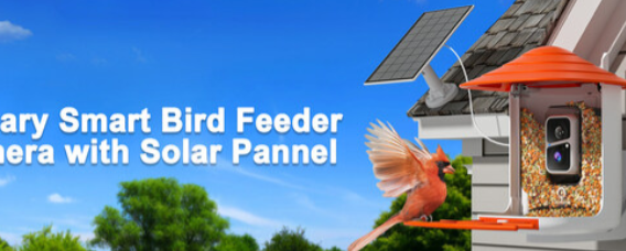 电池板太阳能相机智能Lumary喂鸟器