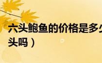 六头鲍鱼的价格是多少（六头鲍鱼就是有六个头吗）