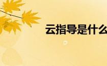 云指导是什么意思（云指）