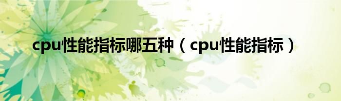 cpu性能指标哪五种（cpu性能指标）