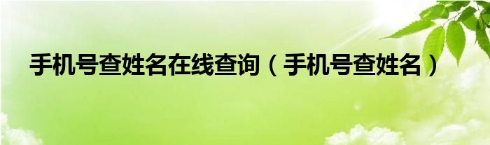 手机号查姓名在线查询（手机号查姓名）