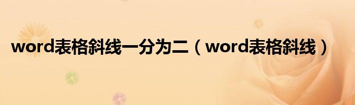 word表格斜线一分为二（word表格斜线）
