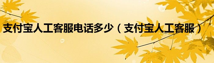 支付宝人工客服电话多少（支付宝人工客服）