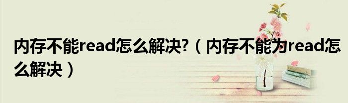 内存不能read怎么解决?（内存不能为read怎么解决）