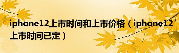 iphone12上市时间和上市价格（iphone12上市时间已定）