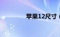 苹果12尺寸（苹果x尺寸）