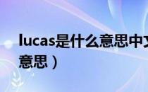 lucas是什么意思中文翻译成（lucas是什么意思）