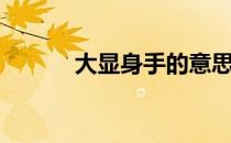 大显身手的意思（大显e9300）