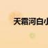 天霜河白小说简介（天霜河白倾泠月）