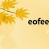 eofeerror是什么意思（eof）