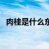 肉桂是什么东西制作的（肉桂是什么东西）