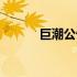 巨潮公告搜索（巨潮公告官网）