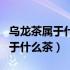 乌龙茶属于什么茶类红茶还是绿茶（乌龙茶属于什么茶）