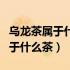 乌龙茶属于什么茶类红茶还是绿茶（乌龙茶属于什么茶）