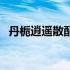 丹栀逍遥散配方及用量（丹栀逍遥散配方）