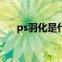 ps羽化是什么意思（羽化是什么意思）